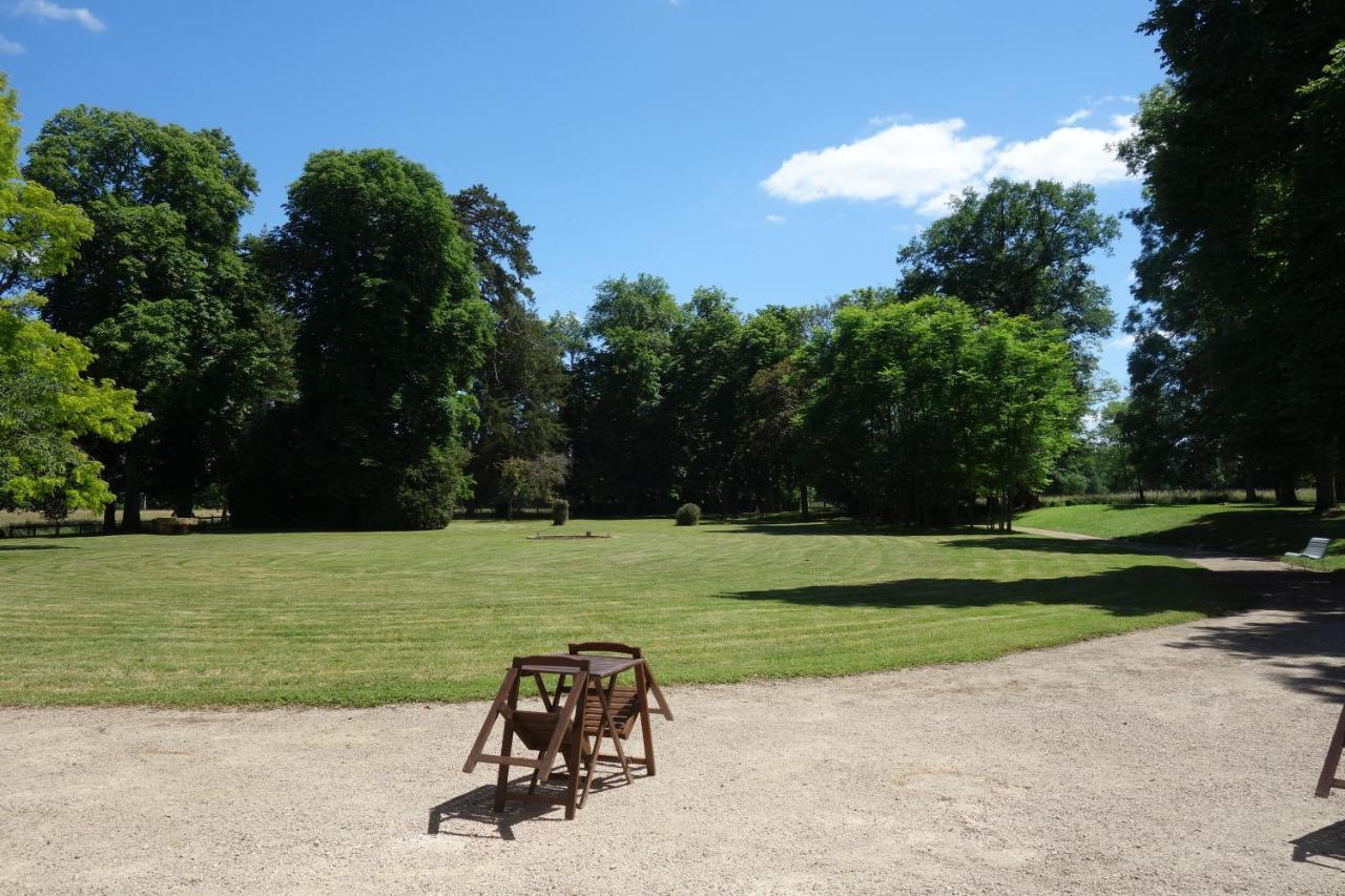 Chateau D'Island Vezelay Pontaubert Екстер'єр фото