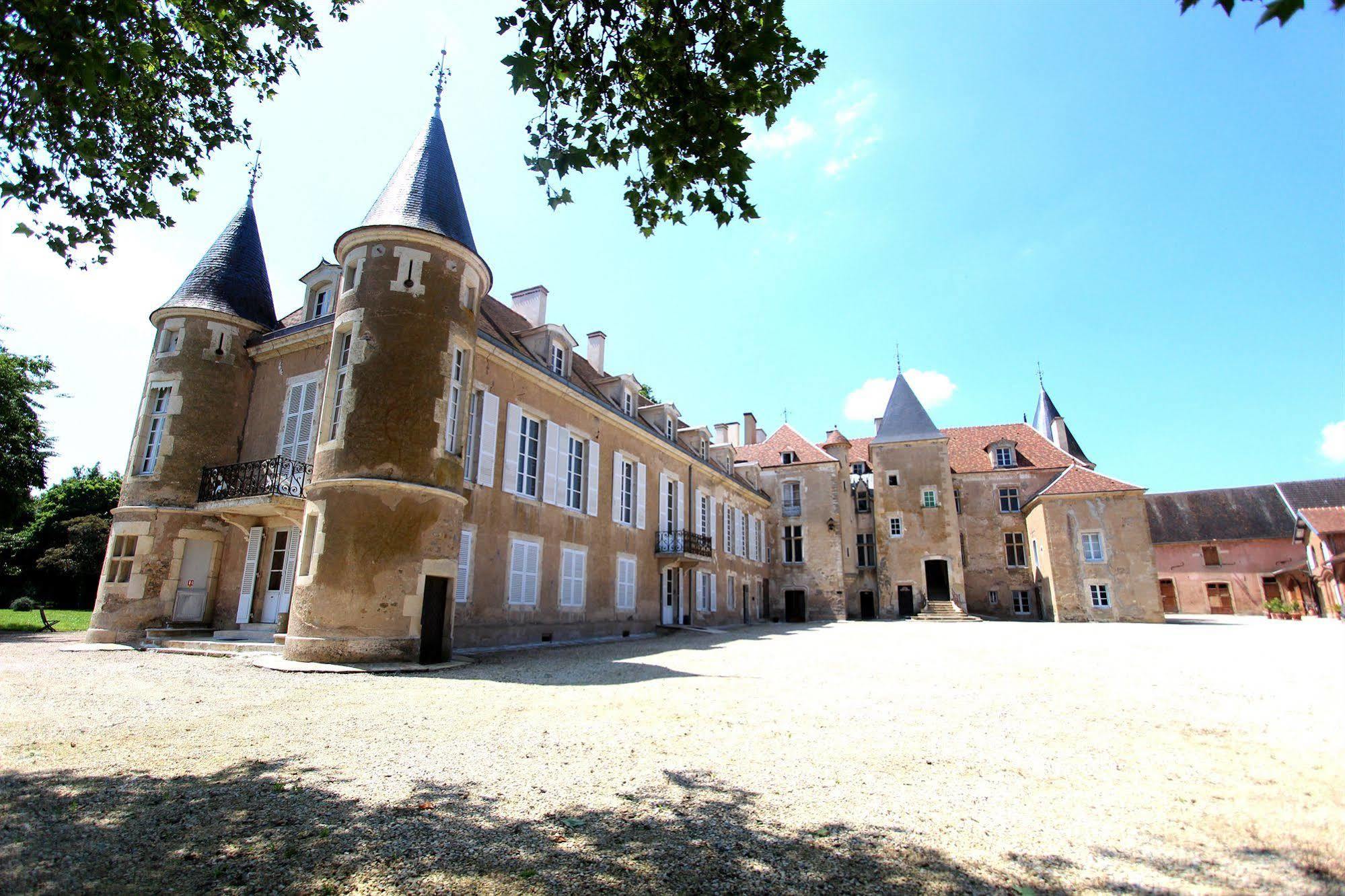 Chateau D'Island Vezelay Pontaubert Екстер'єр фото