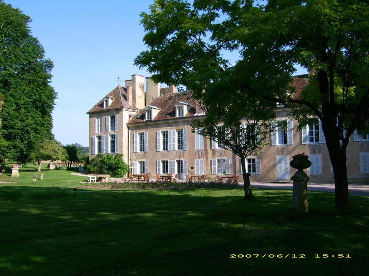 Chateau D'Island Vezelay Pontaubert Екстер'єр фото