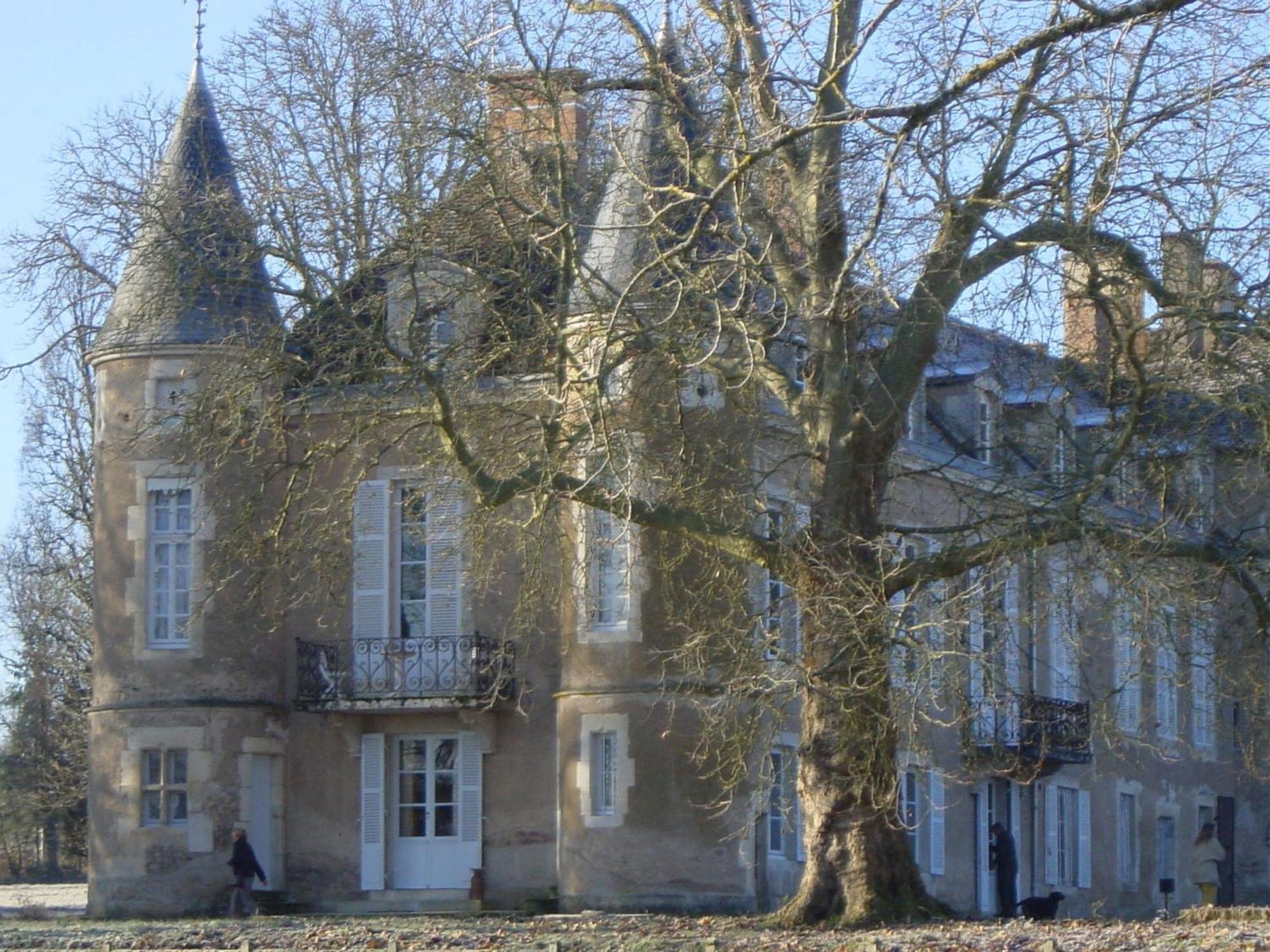 Chateau D'Island Vezelay Pontaubert Екстер'єр фото