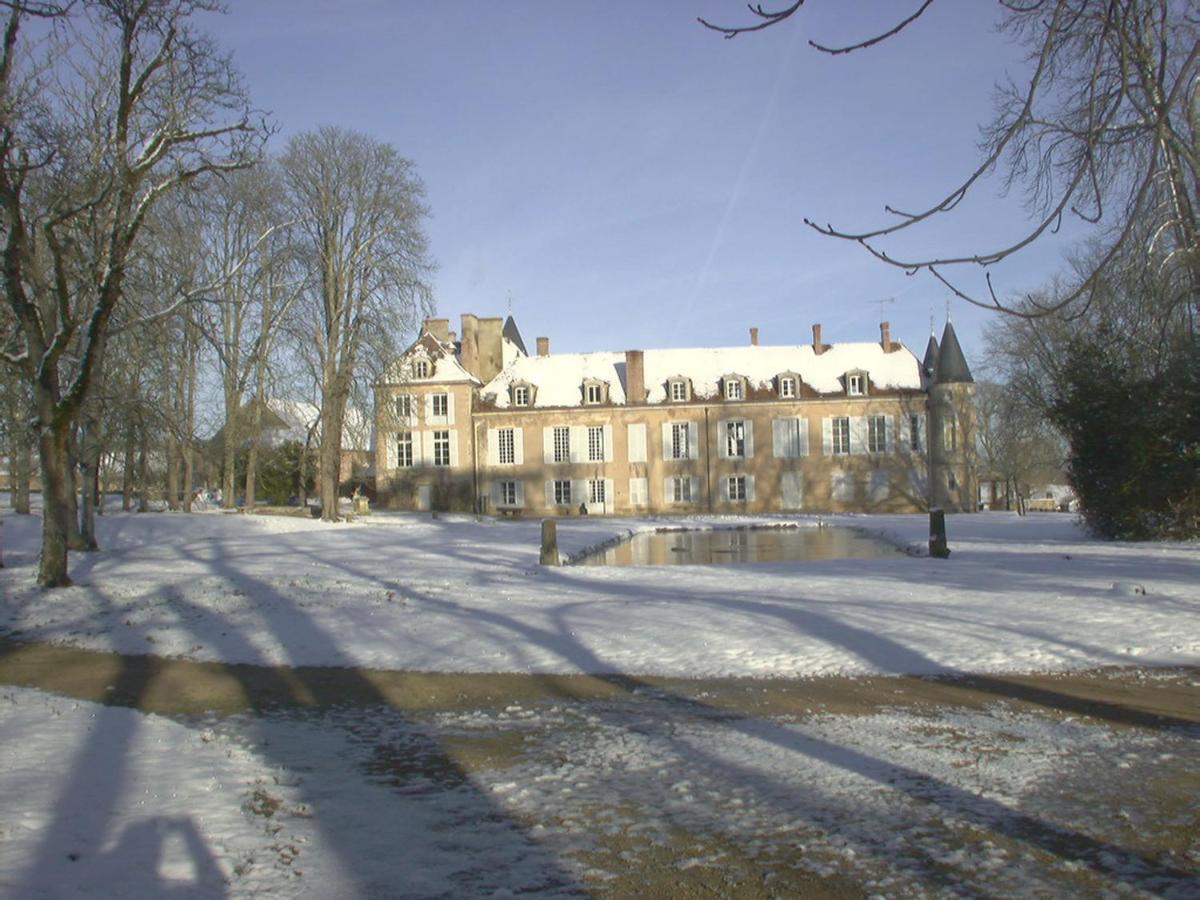 Chateau D'Island Vezelay Pontaubert Екстер'єр фото