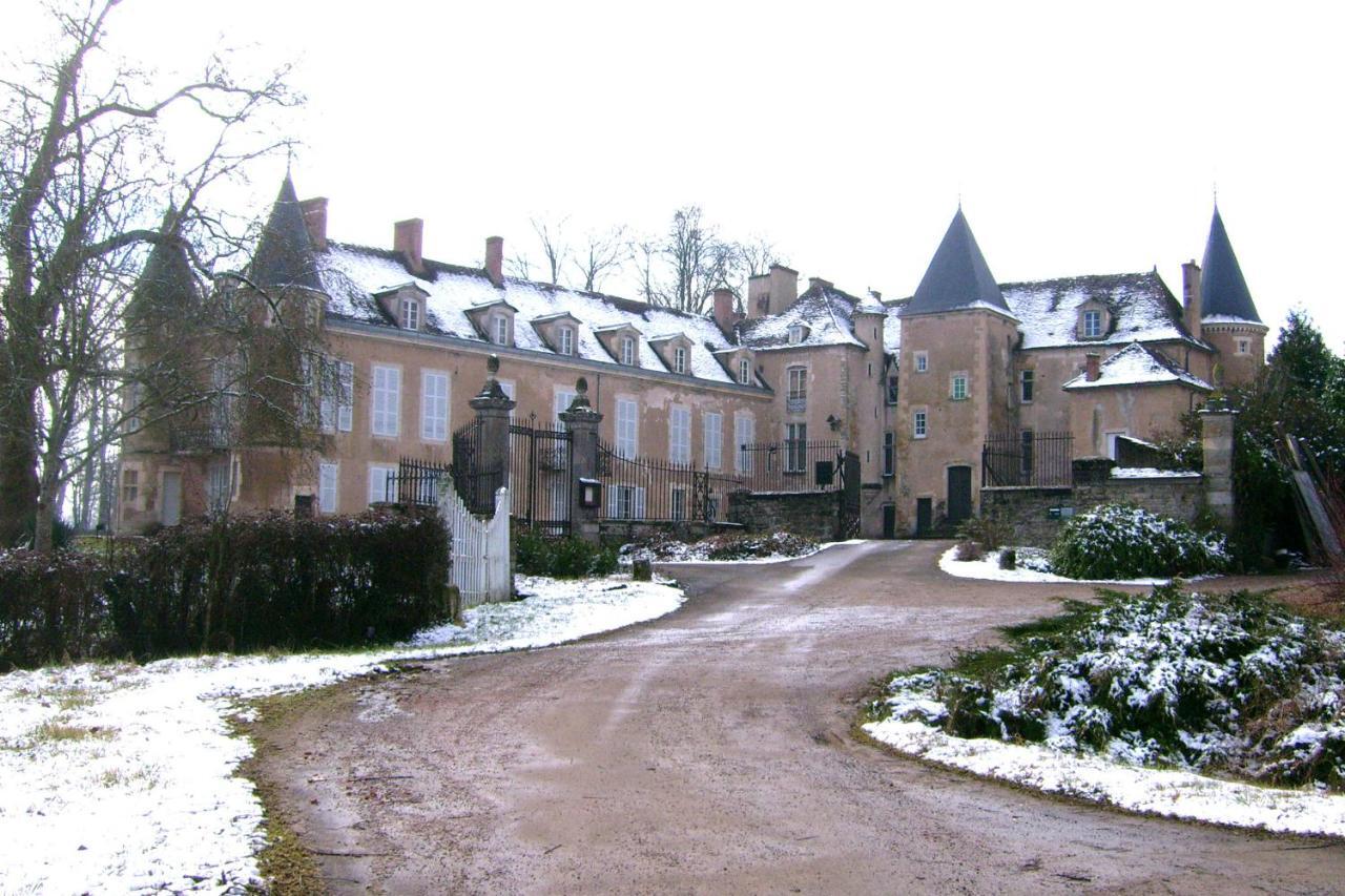 Chateau D'Island Vezelay Pontaubert Екстер'єр фото
