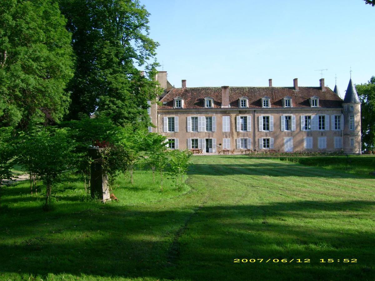 Chateau D'Island Vezelay Pontaubert Екстер'єр фото